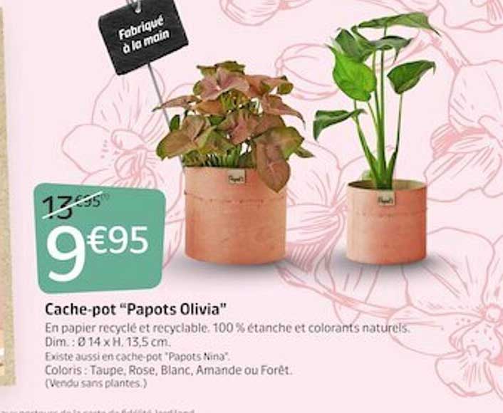 cache-pot "papots olivia"