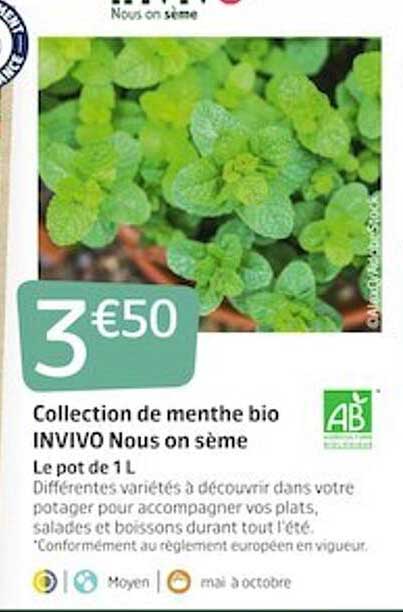 collection de menthe bio invivo nous on sème