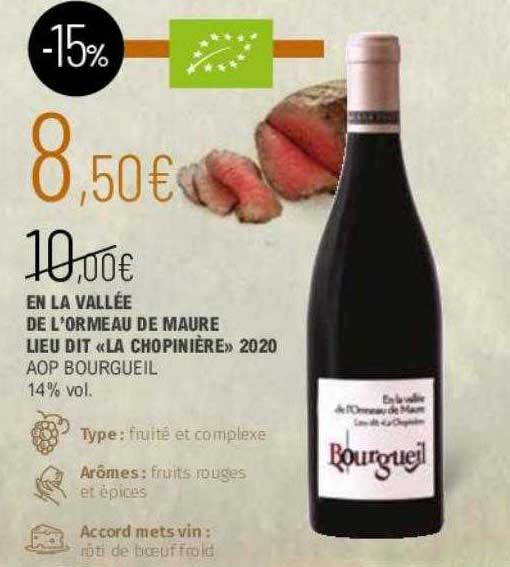 en la vallée de l'ormeau de maure lieu dit «la chopinière» 2020 aop bourgueil