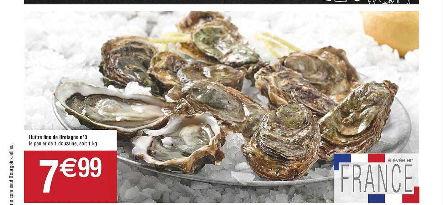 Huître Fine De Bretagne N°3