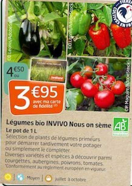 légumes bio invivo nous on sème