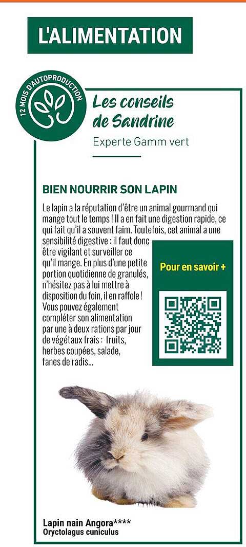 les conseils de sandrine