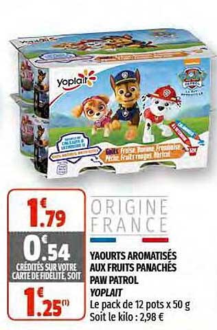 Yaourts Aromatisés Aux Fruits Panachés Paw Patrol Yoplait