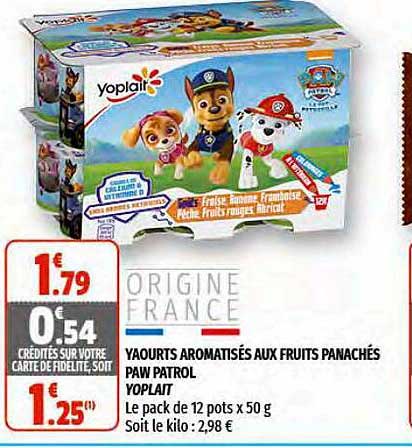 yaourts aromatisés aux fruits panachés paw patrol yoplait