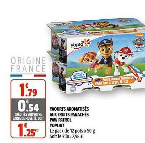 yaourts aromatisés aux fruits panachés paw patrol yoplait