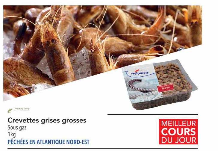 crevettes grises grosses