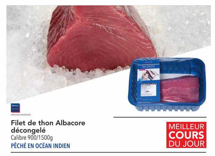 filet de thon albacore décongelé