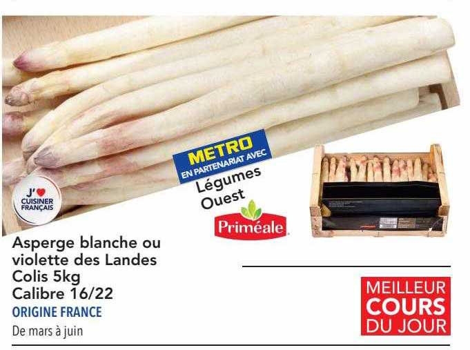 asperge blanche ou violette des landes colis 5 kg calibre 16-22 priméale