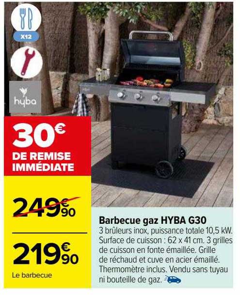 barbecue gaz hyba g30