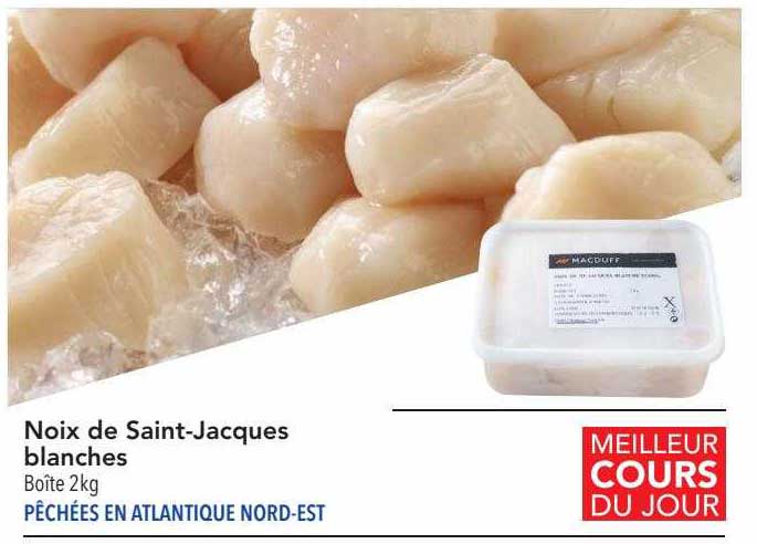 noix de saint-jacques blanches