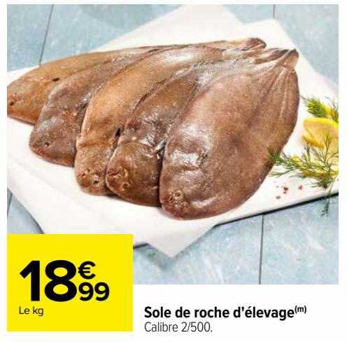 sole de roche d'élevage