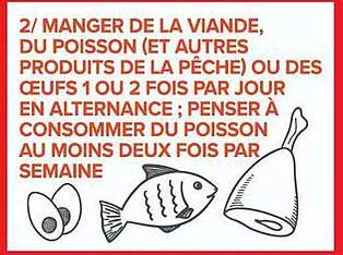 2/ MANGER DE LA VIANDE, DU POISSON (ET AUTRES PRODUITS DE LA PÊCHE) OU DES ŒUFS 1 OU 2 FOIS PAR JOUR EN ALTERNANCE ; PENSER À CONSOMMER DU POISSON AU MOINS DEUX FOIS PAR SEMAINE