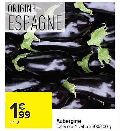 Aubergine