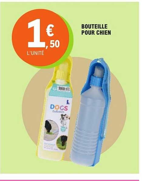 Bouteille pour chien