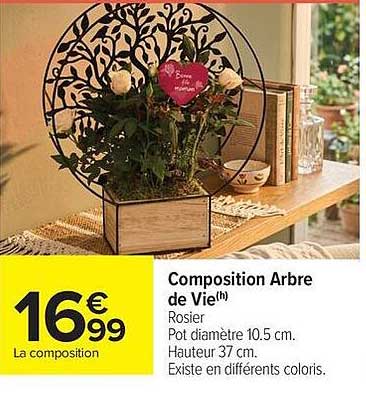Composition Arbre de Vie(h)