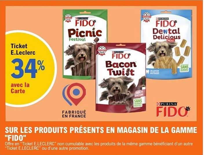 FIDO Picnic