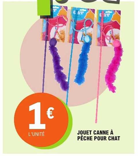 JOUET CANNE À PÊCHE POUR CHAT