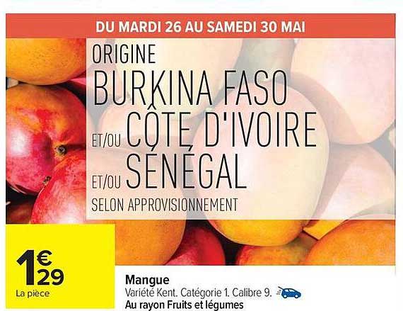 Mangue