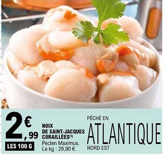 Noix de Saint-Jacques Coralillées