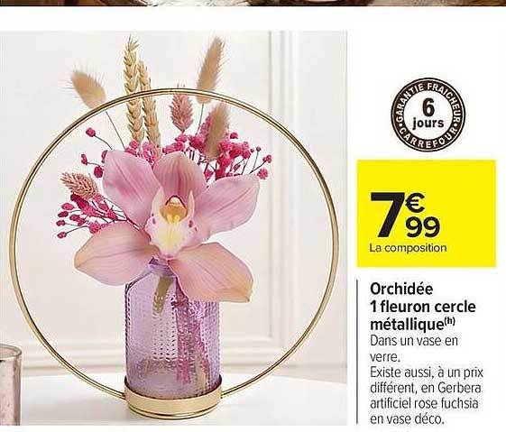 Orchidée 1 fleuron cercle métallique