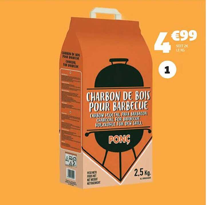 PONG Charbon de bois pour barbecue