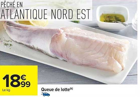 Queue de lotte