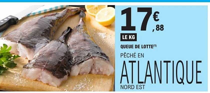 Queue de lotte сь et Atlantique