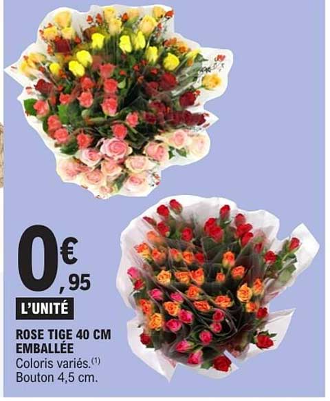 ROSE TIGE 40 CM EMBALLÉE