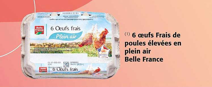 6 œufs frais de poules élevées en plein air belle france