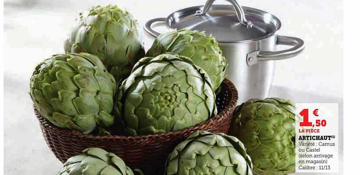 artichaut camus ou castel
