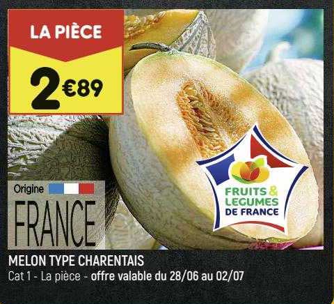 melon type charentais