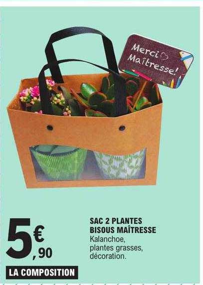 sac 2 plantes bisous maîtresse