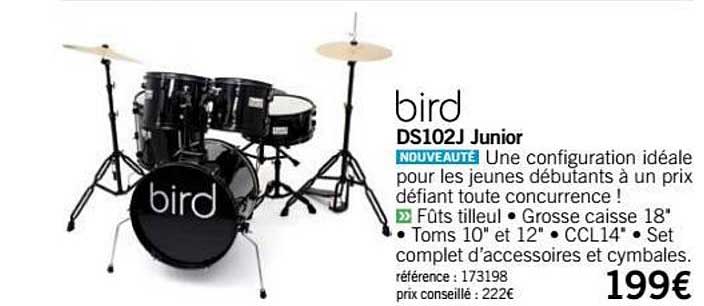 batterie ds102j junior bird