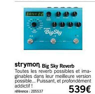big sky reverb strymon