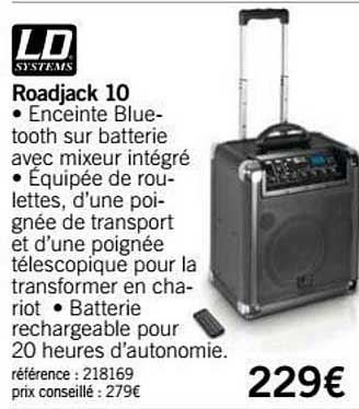 enceinte roadjack 10 ld systems