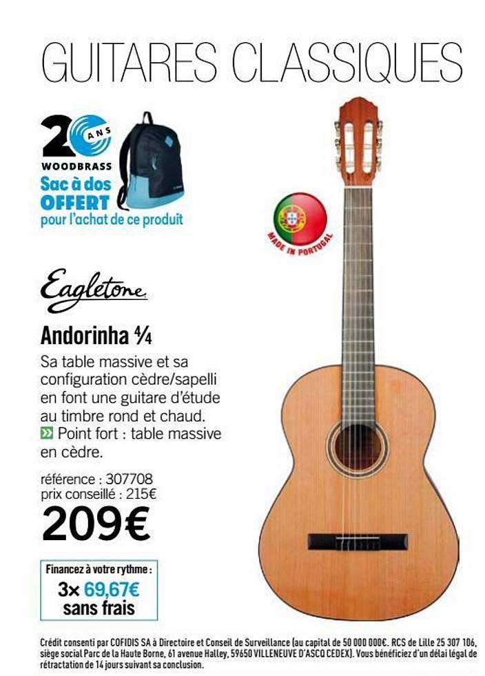 guitare andorinha 4 4 eagletone