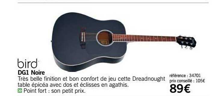 Guitare Dg1 Noire Bird