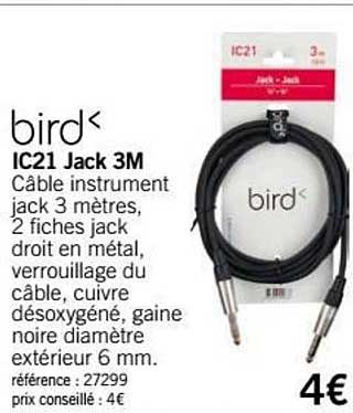 ic21 jack 3m bird