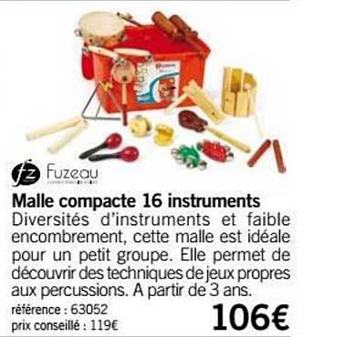 malle compacte 16 instruments fuzeau