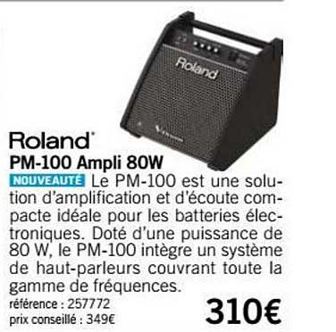 pm 100 ampli 80w roland