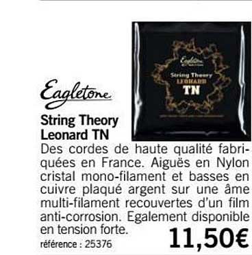 string theory leonard tn eagletone