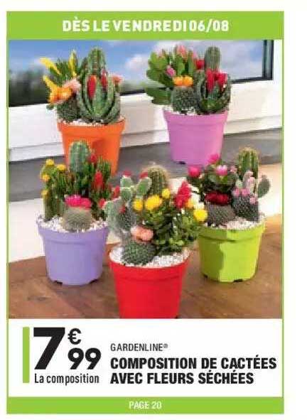 Composition De Cactées Avec Fleurs Séchées Gardenline