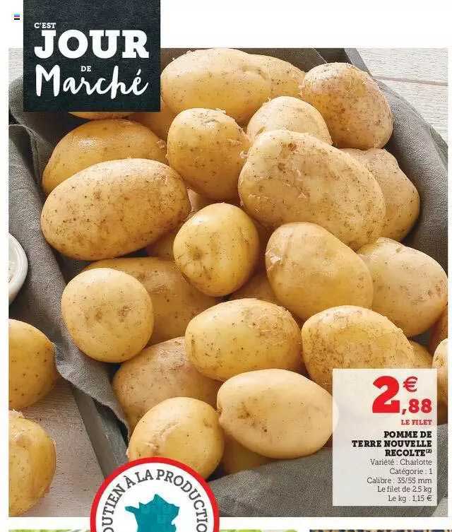 pomme de terre nouvelle récolte