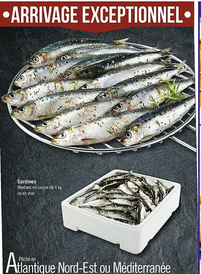 Sardines