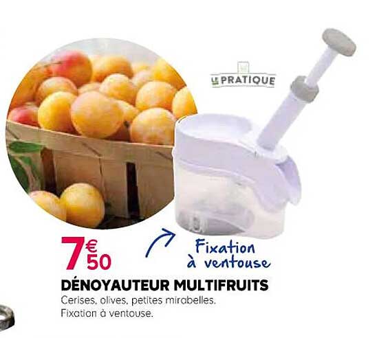 Dénoyauteur Multifruits Le Pratique