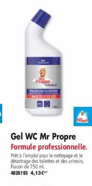 gel wc mr propre