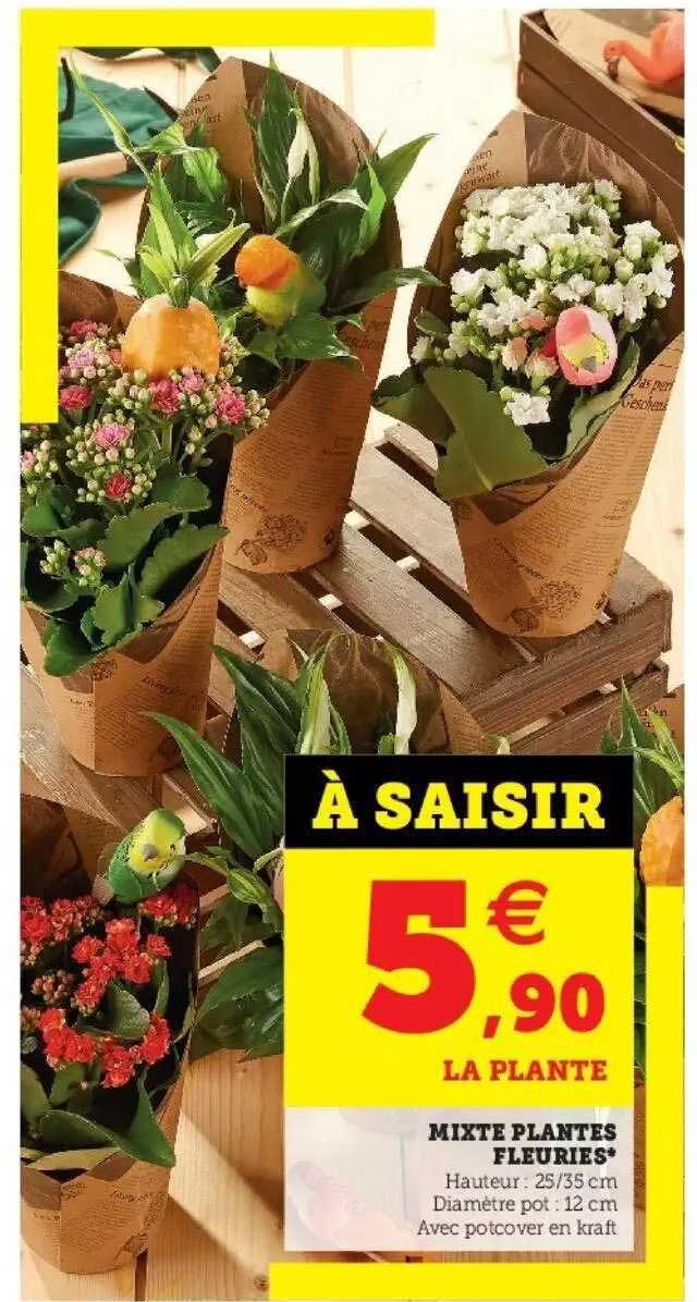 mixte plantes fleuries