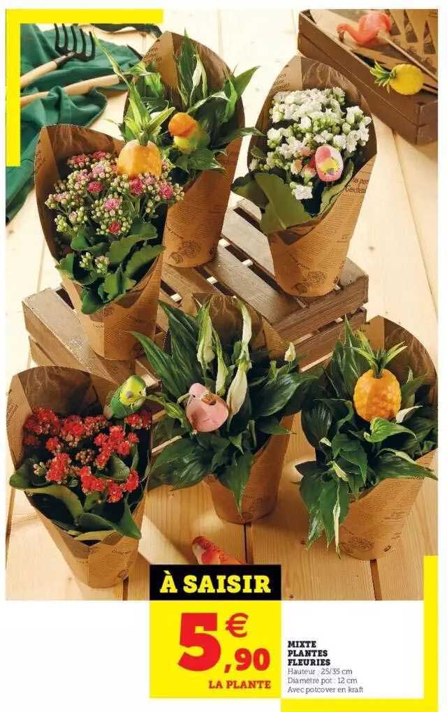 mixte plantes fleuries