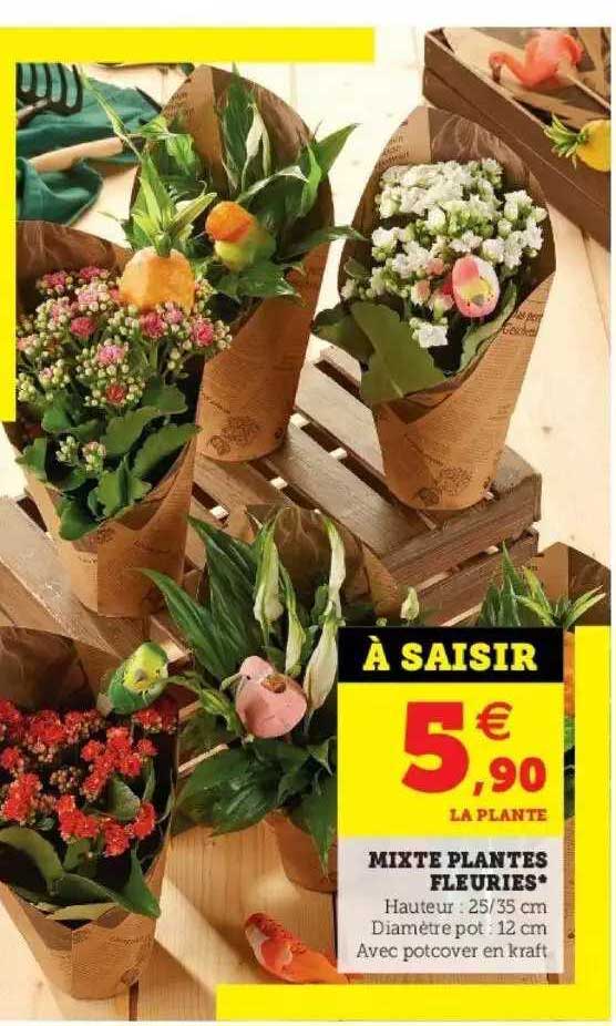 mixte plantes fleuries