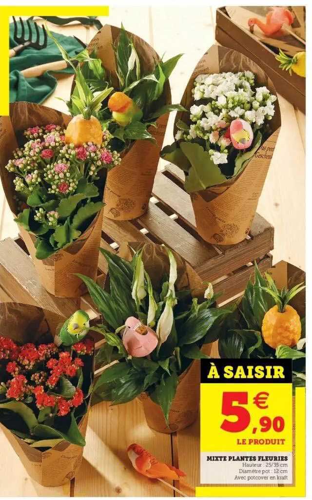 mixte plantes fleuries